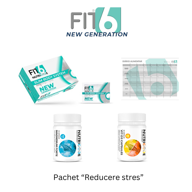 FIT6 New Generation | Etapa 2